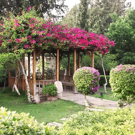 Hotel Mehmet Ali Aga Konagi - Kocaev Datça
